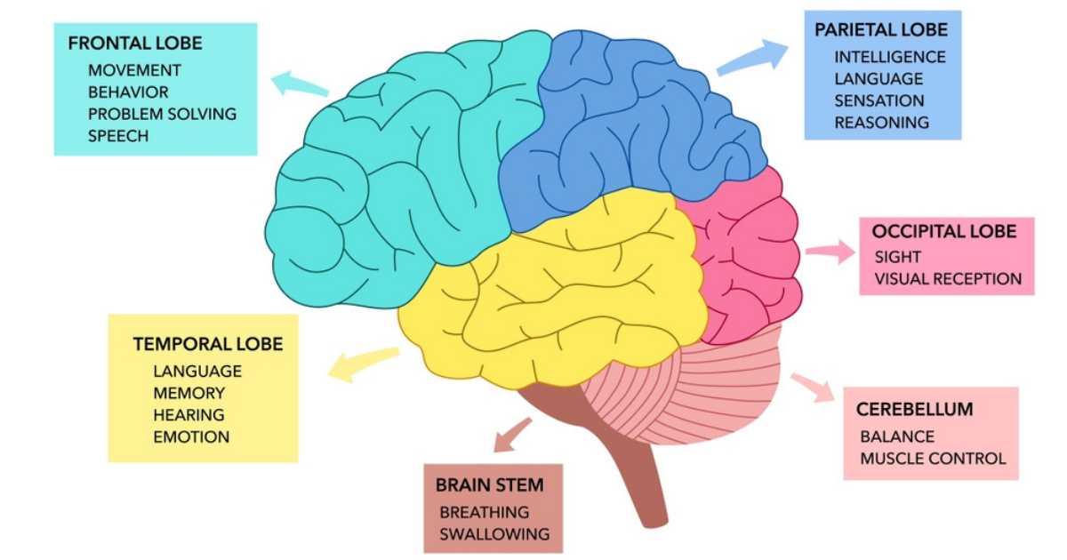 what is emotional intelligence