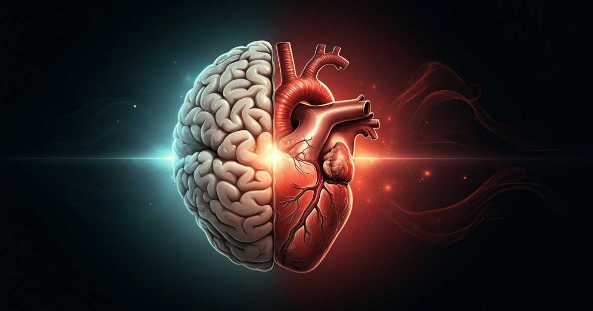 What is Emotional Intelligence: The Complete Guide